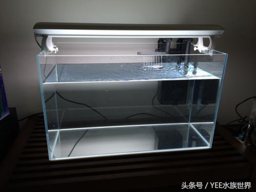 鱼缸生化过滤真的有用吗,鱼缸的生化过滤系统到底有没有用