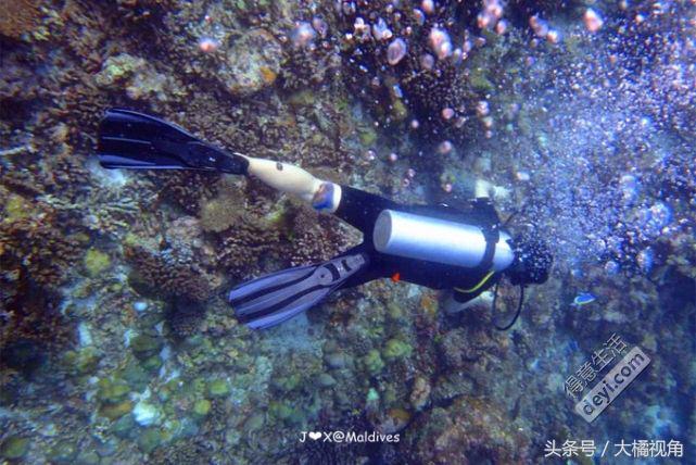 奥臻岛有什么吃的,奥臻岛一价全包多少钱