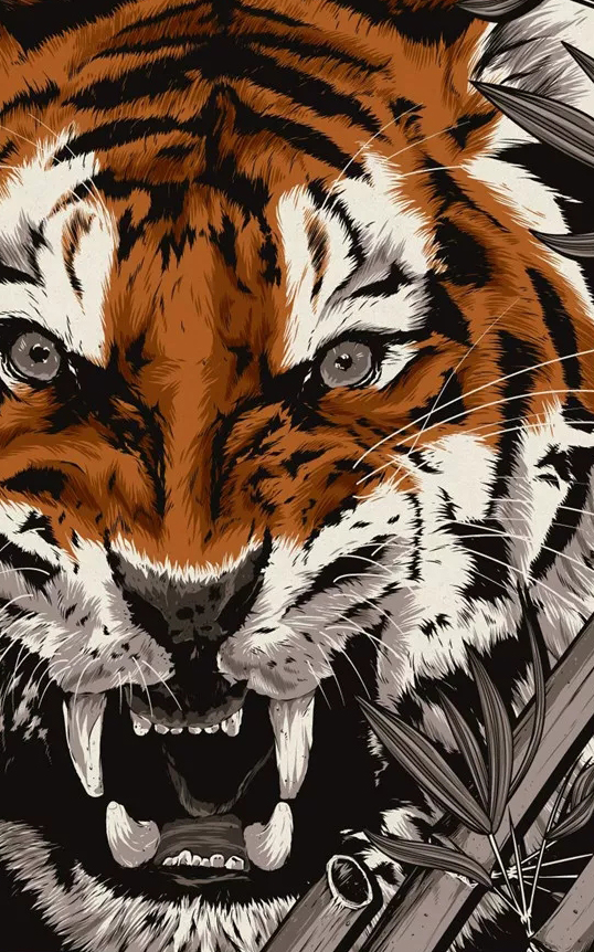 壁纸老虎狮子超霸气超清壁纸,大象老虎狮子谁才是百兽之王