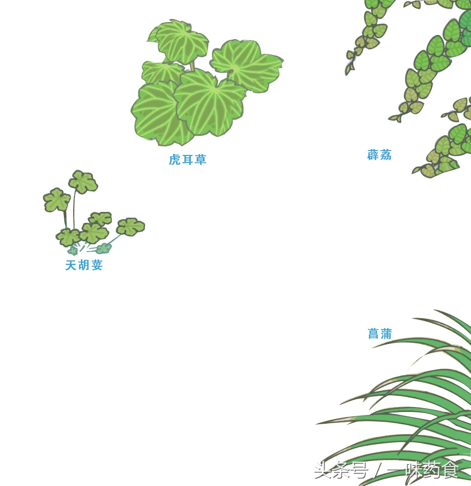 旅行青蛙怎么有更多四叶草,一直养旅行青蛙现在怎么样了