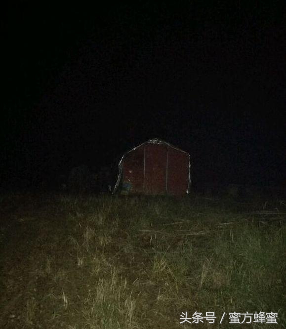 蜂农的心声,记录蜂农生活点滴