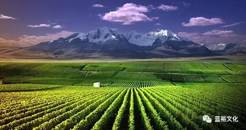 宁夏最值得去的十大红酒酒庄排名,宁夏值得一去的十大酒庄