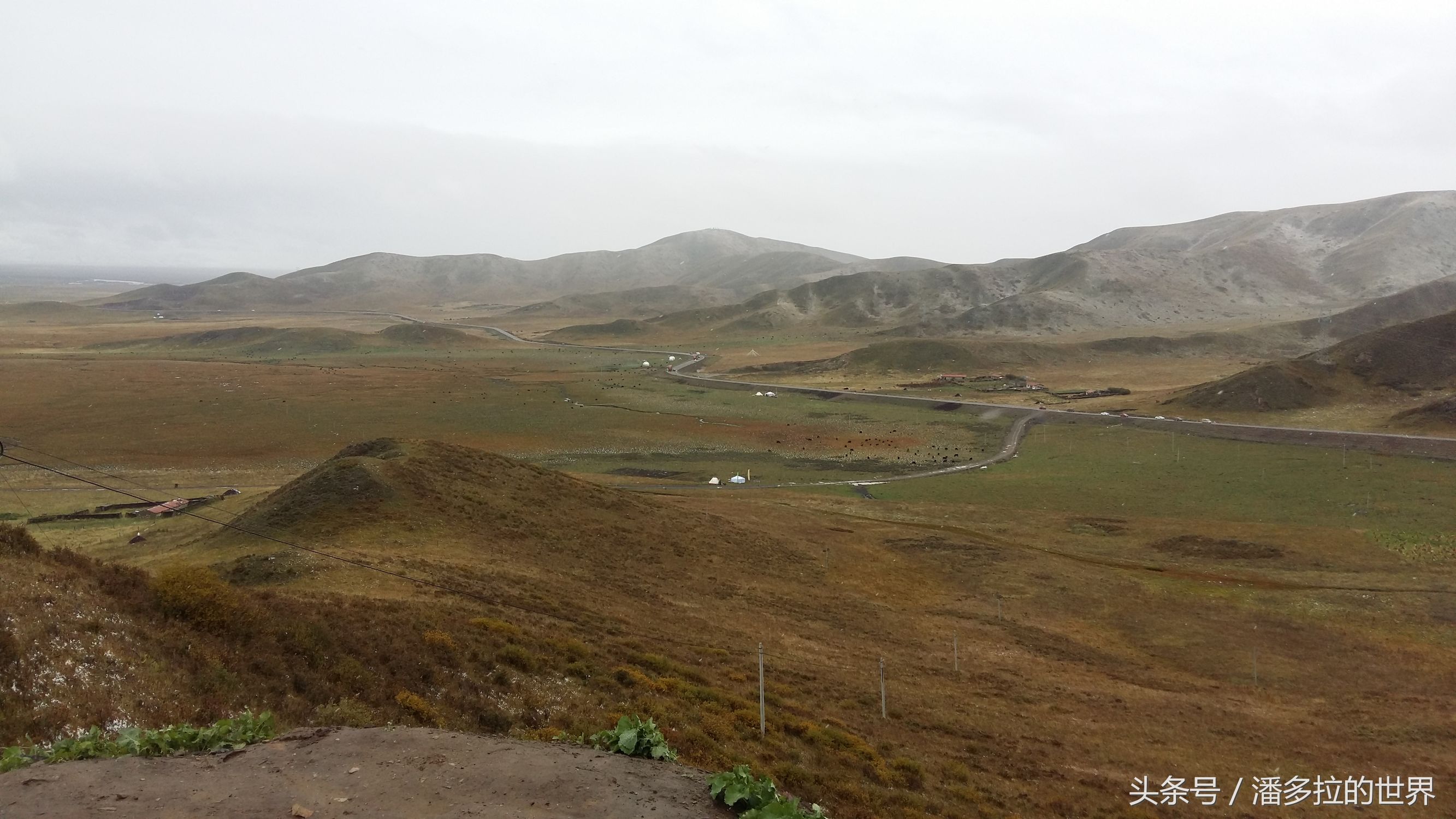 若尔盖大草原到底好不好玩,若尔盖大草原有没有沙漠