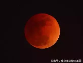 关于皮克布克的绘本,皮克布克王国绘本图片