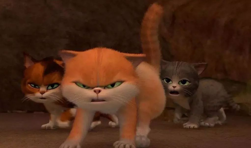 麦子金服清退话题,麦子金服事件