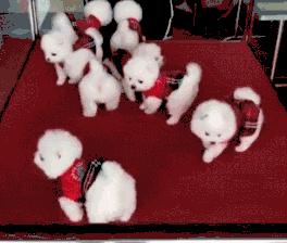 北大校训讲话,北大校训天行健君子自强不息