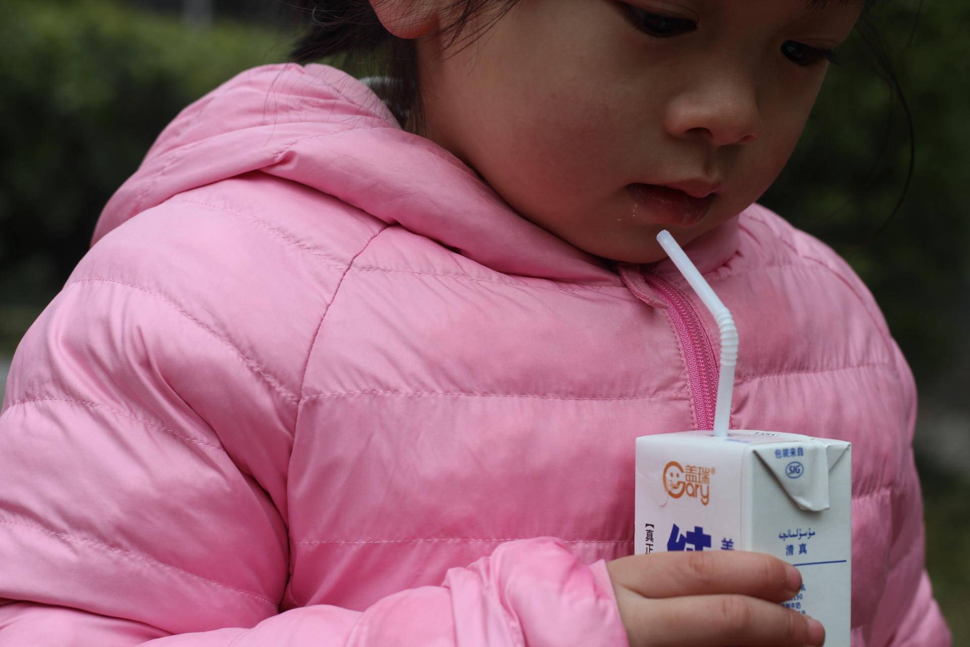 盖瑞新疆纯牛奶,盖瑞纯牛奶品种