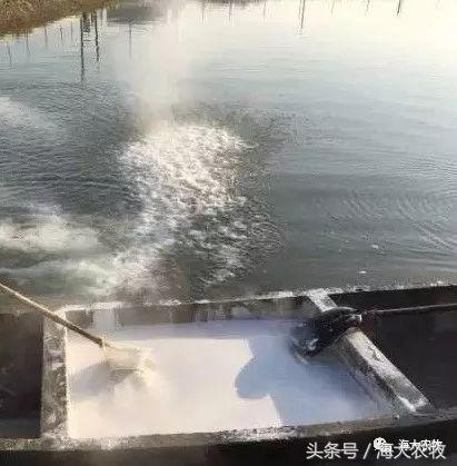 河蟹塘清塘的一些注意事项,河蟹塘消毒用什么好