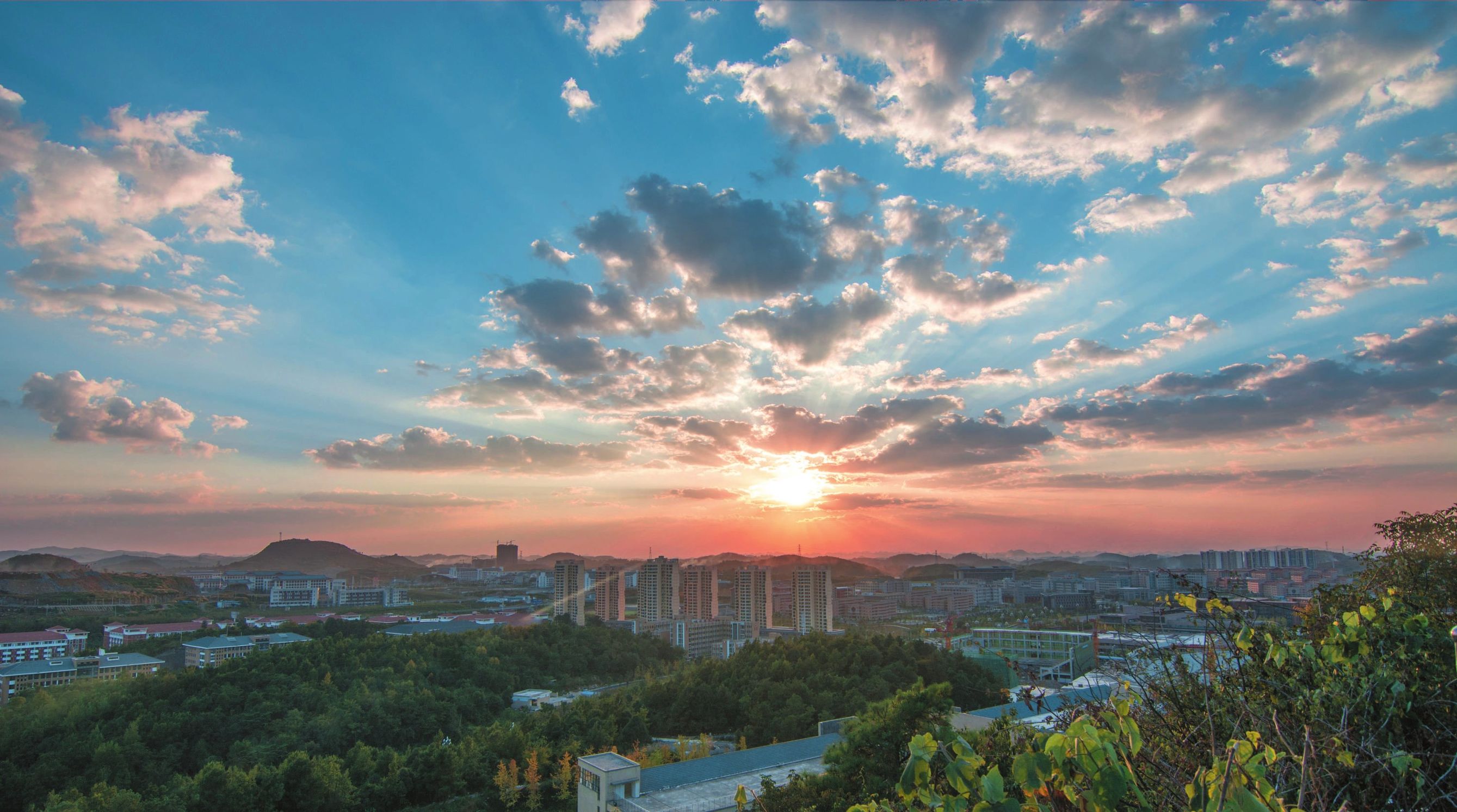 看病遇见庸医的文案,寒武纪唐印遇见庸医