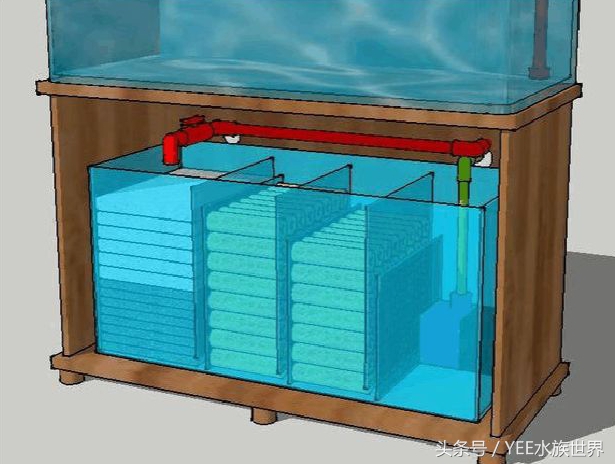 鱼缸生化过滤真的有用吗,鱼缸的生化过滤系统到底有没有用