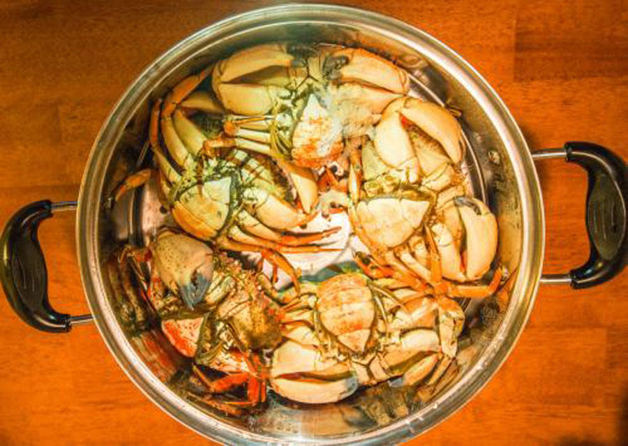 螃蟹冷水下锅还是热水下锅蒸螃蟹,螃蟹冷水下锅还是热水下锅蒸多久