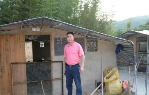 在农村怎样才可以赚到钱？新的一年想发家致富？这些会帮到你！