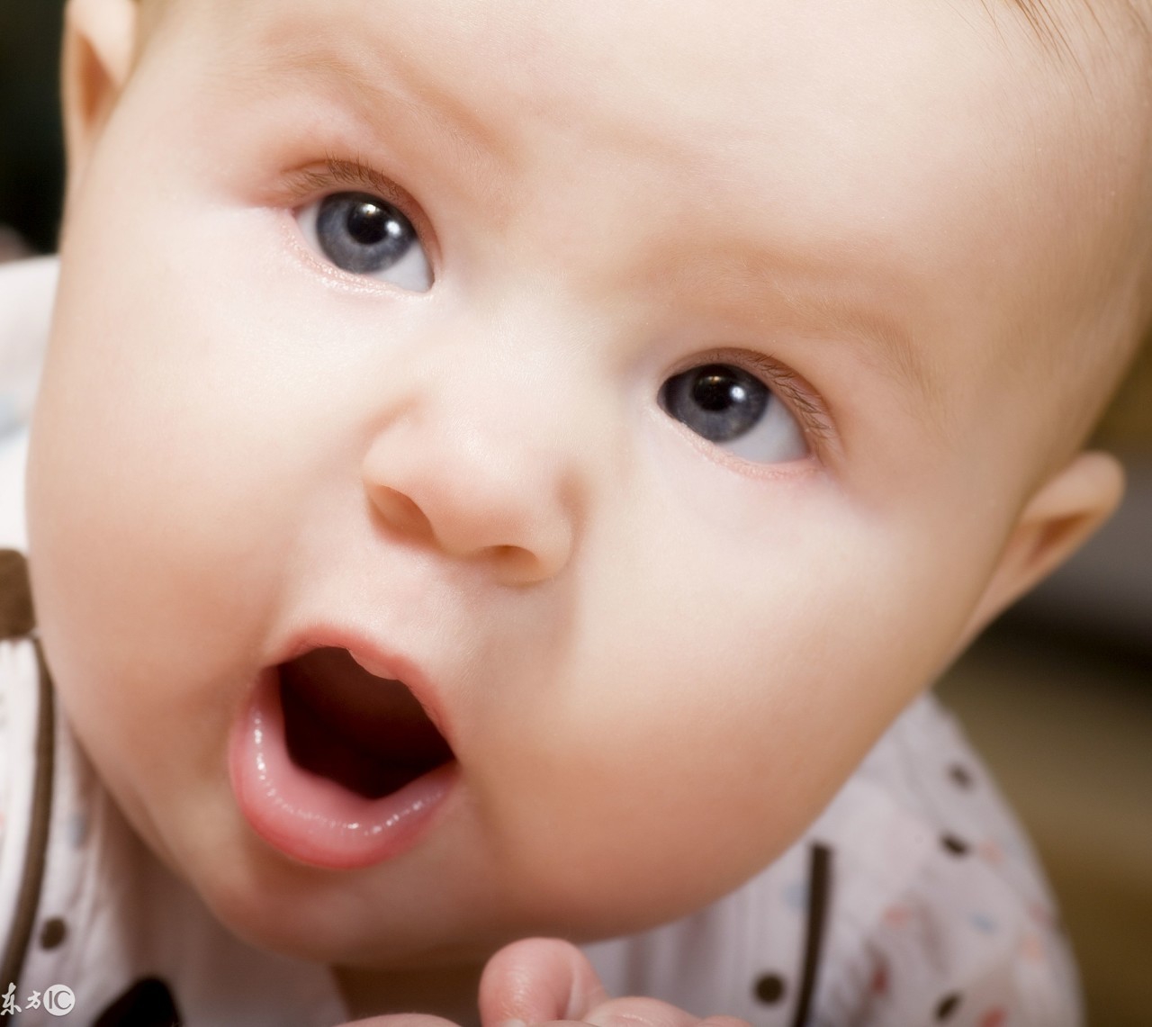 uc等8款手机浏览器被集中整治,uc手机浏览器被整治什么浏览器好