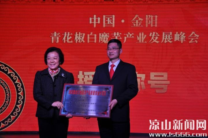 凉山金阳县发展前景,金阳县未来发展建设