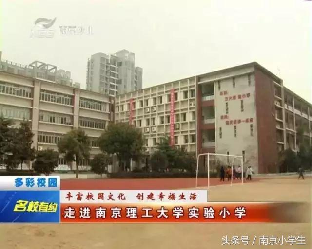 南京10大新名校双学区谁更有潜力,南京4大潜力新城在哪里