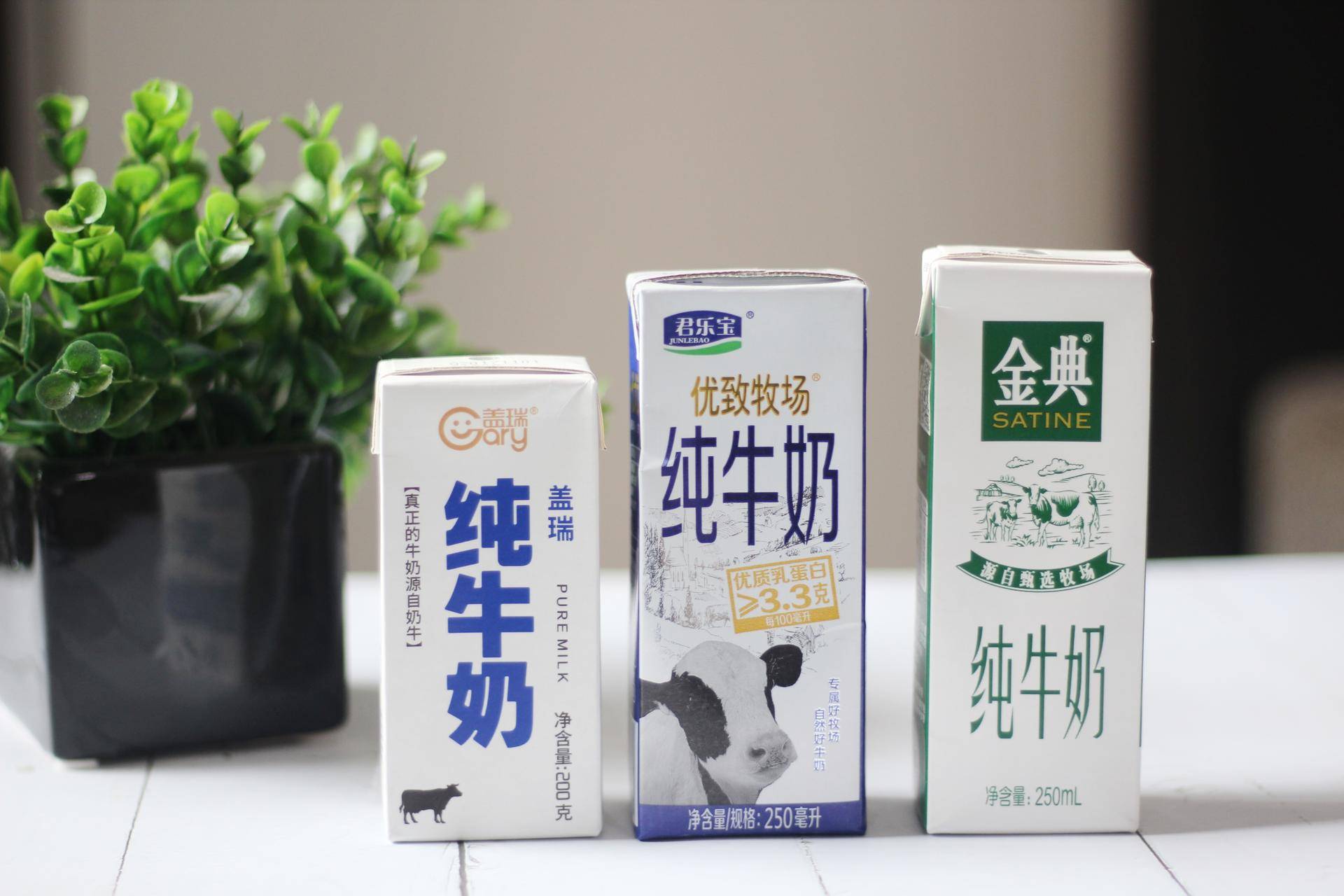 盖瑞新疆纯牛奶,盖瑞纯牛奶品种