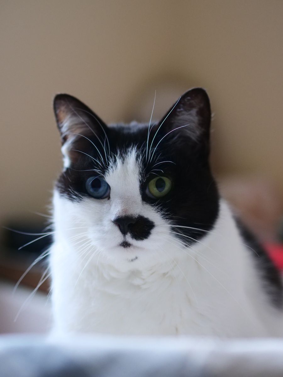 快准稳,快准稳产品