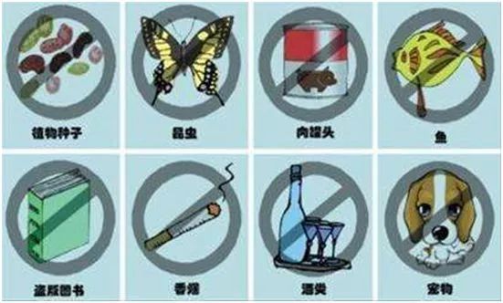 回国托运行李哪些东西不能带,海关不允许带的东西可以寄回国吗