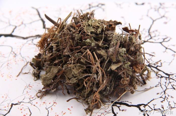 旅行青蛙怎么有更多四叶草,一直养旅行青蛙现在怎么样了