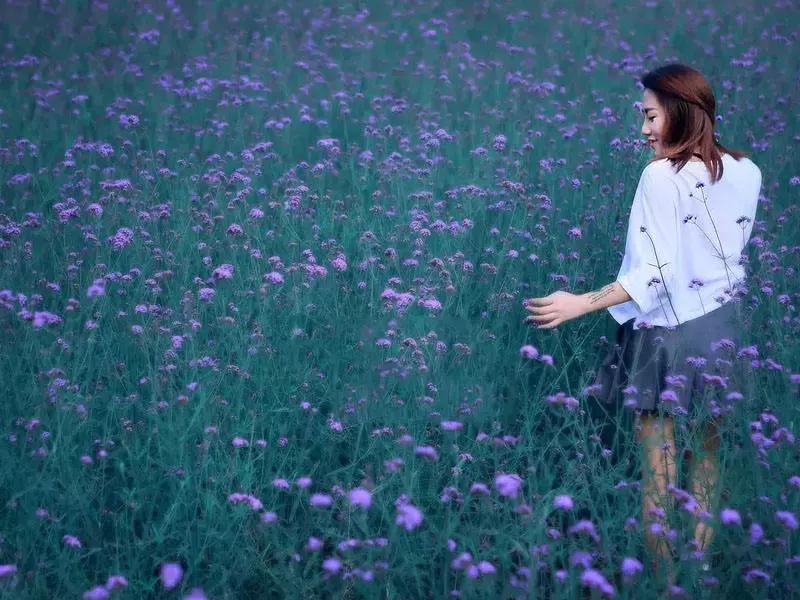 给干花讲故事,这家淘宝店畅销三年,坐拥8万忠实粉丝,年销百万