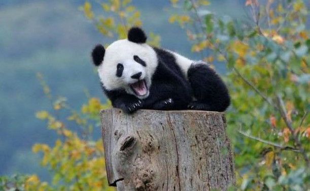 有钱人生活方式是什么样,有钱的人生活是怎样的