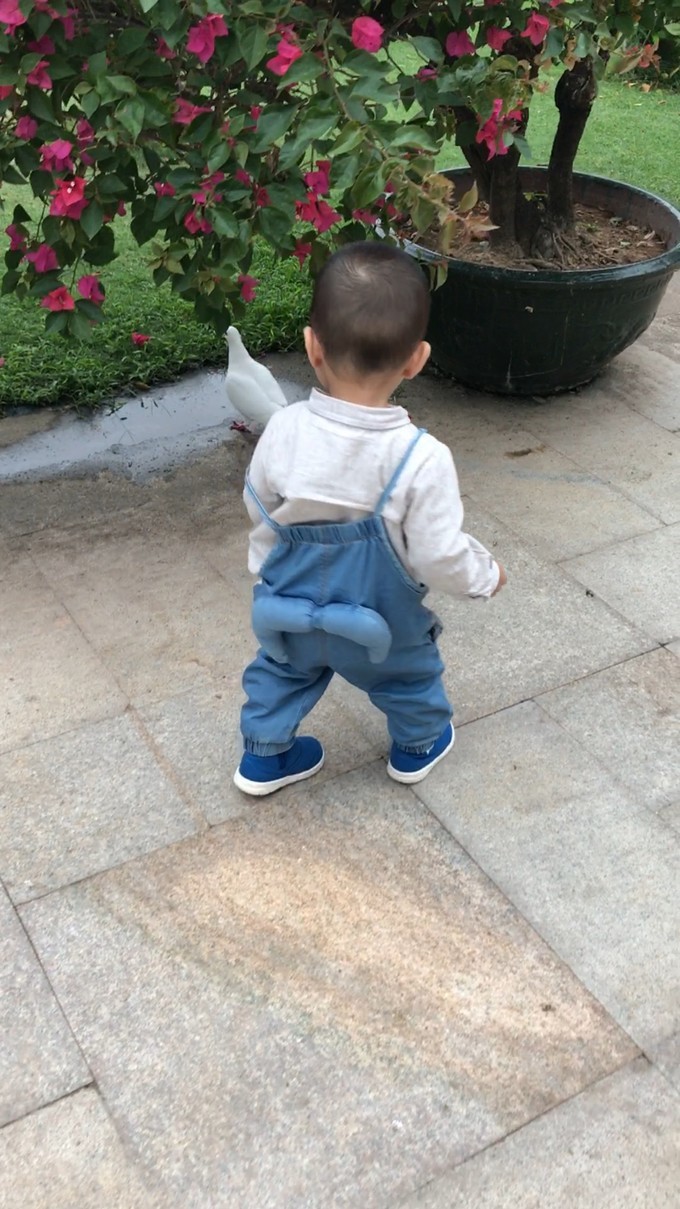 带你玩游世界，熙宝人生第一旅—三亚