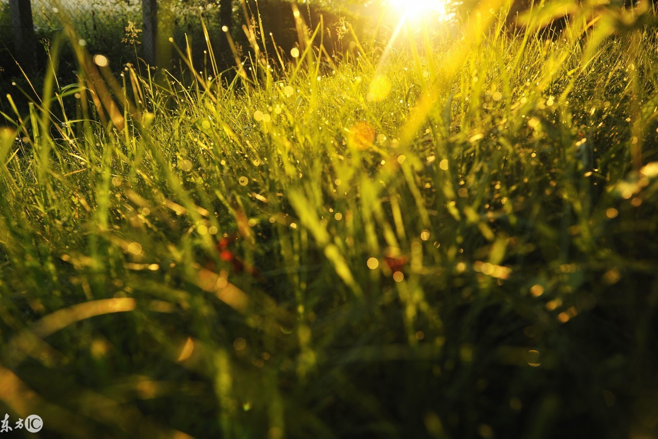 如何正确扶阳,扶阳抗邪最好的方法