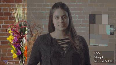 索尼佳能富士拍人像,佳能松下相机直出对比