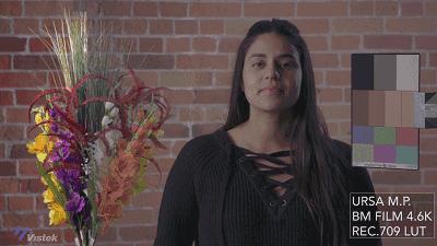 索尼佳能富士拍人像,佳能松下相机直出对比