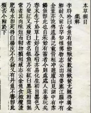 古人夏天如何养鱼,古人养鱼