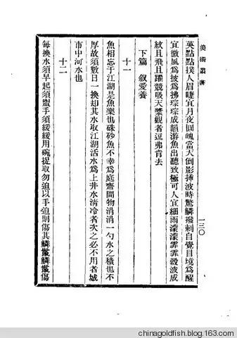 古人夏天如何养鱼,古人养鱼