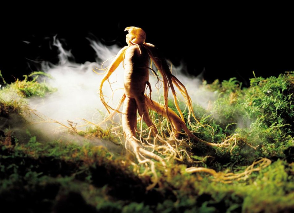 品质再升级全新一代喜参人参蓝莓酵素全国上市