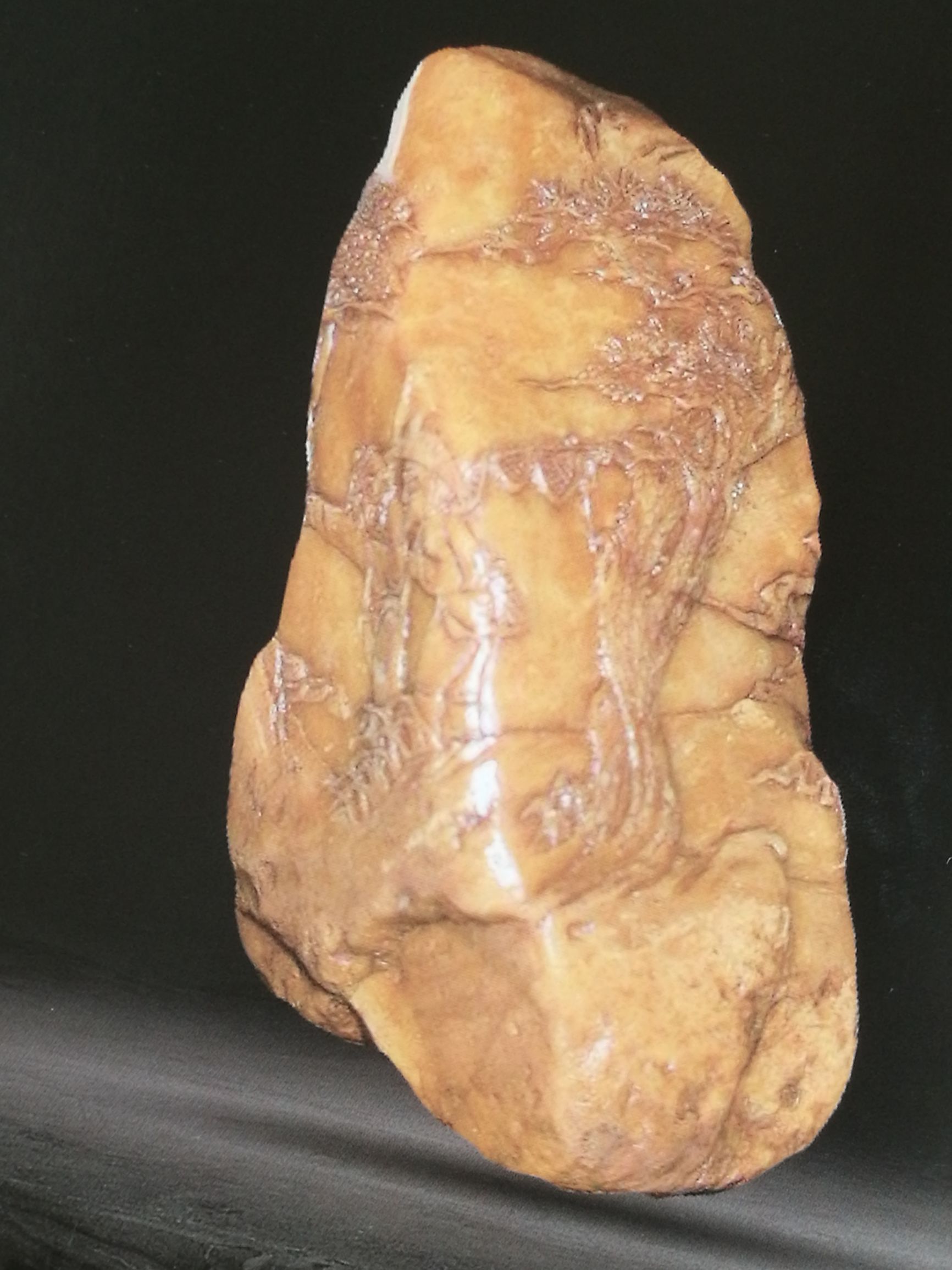 田黄石十大品种,皇帝田黄石品种图片