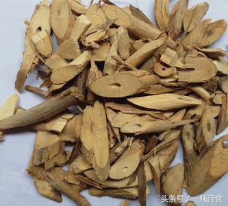 旅行青蛙怎么有更多四叶草,一直养旅行青蛙现在怎么样了