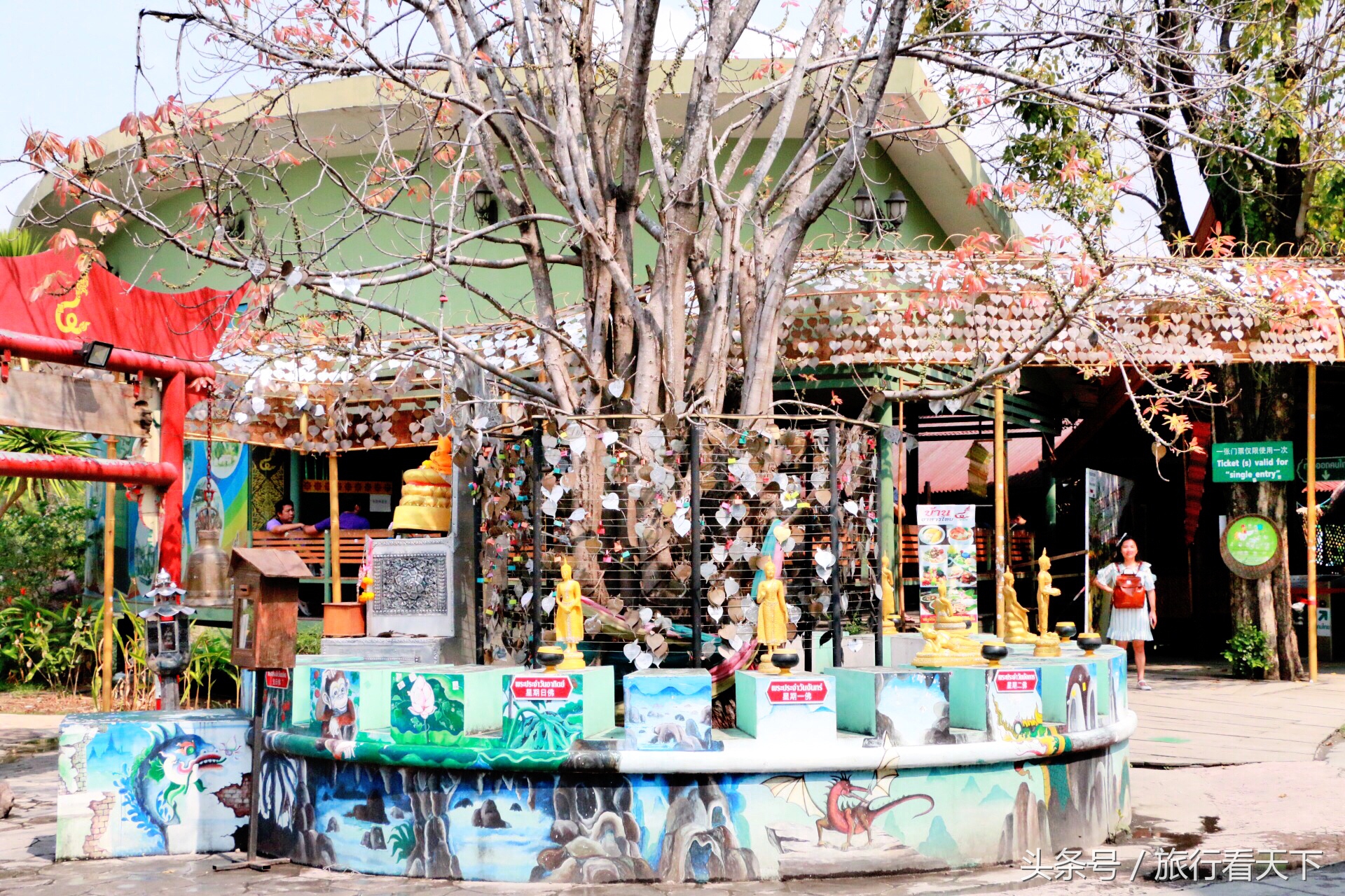 进市场要门票购物假货充斥，泰国这个网红地去过的人都说“坑”