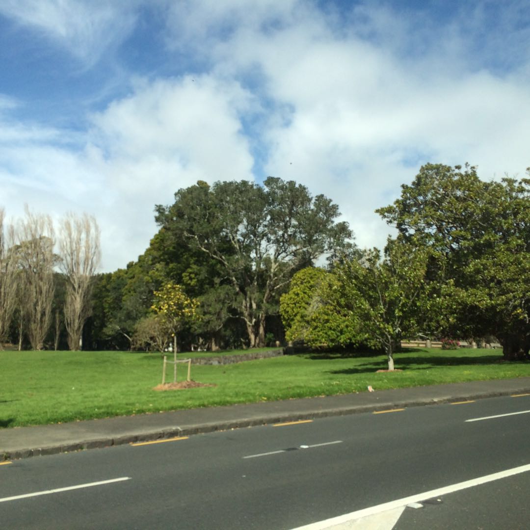 新西兰环岛旅行记,自由行新西兰奥克兰