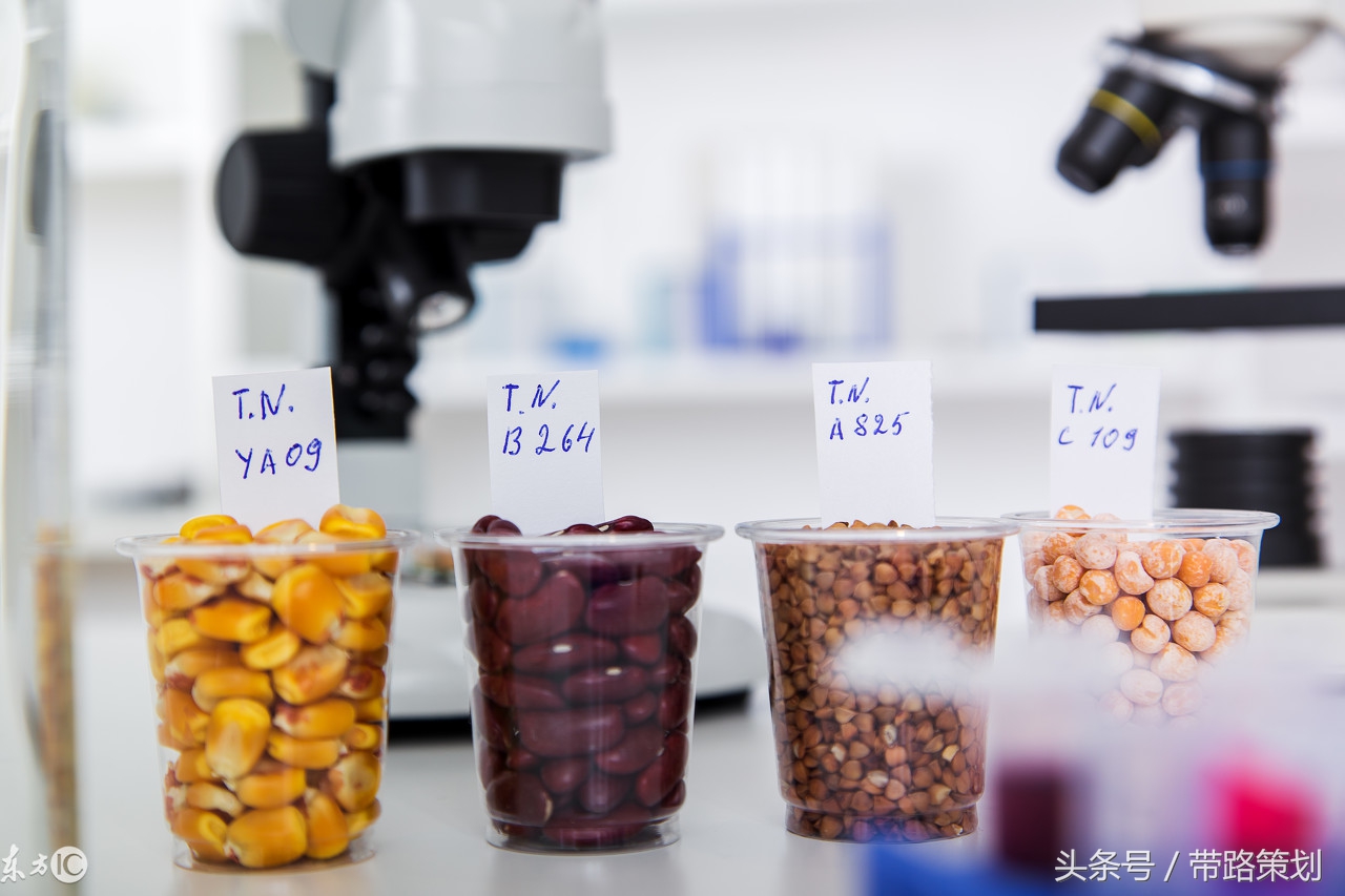 椋熷搧瀹夊叏闅愭偅绛夌骇鍒掑垎,椋熷搧瀹夊叏闅愭偅鏁存敼鎺柦