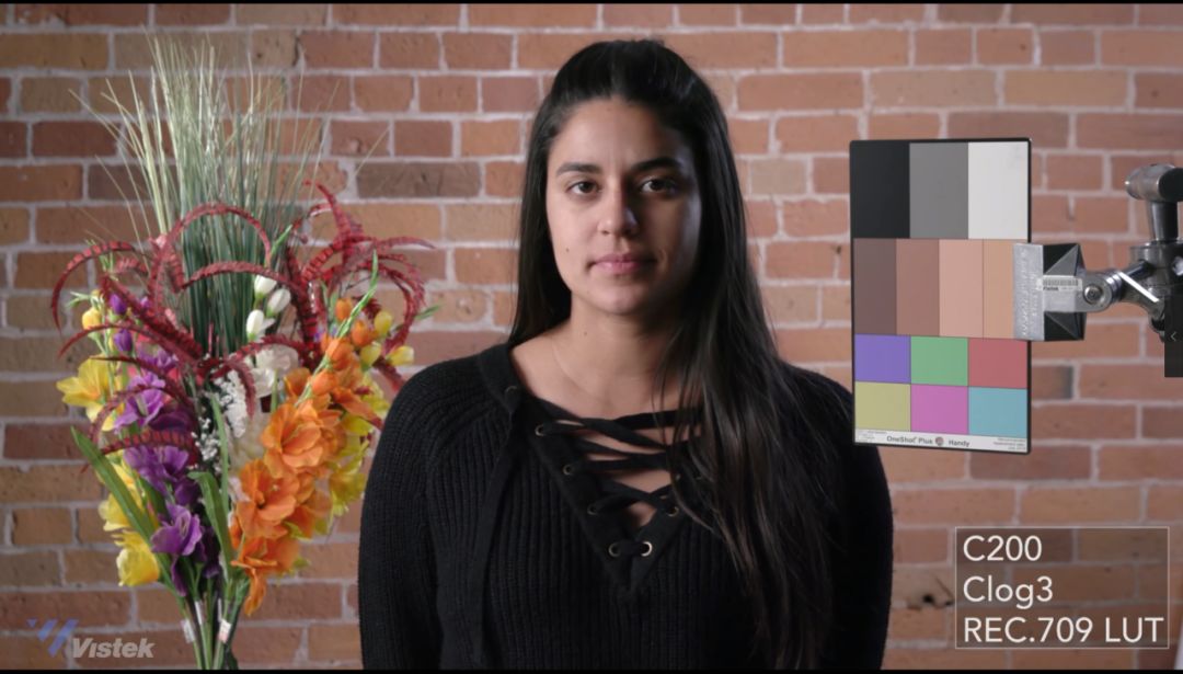 索尼佳能富士拍人像,佳能松下相机直出对比