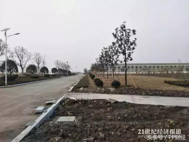 金盾股份董事长跳楼,金盾股份董事长坠楼原因