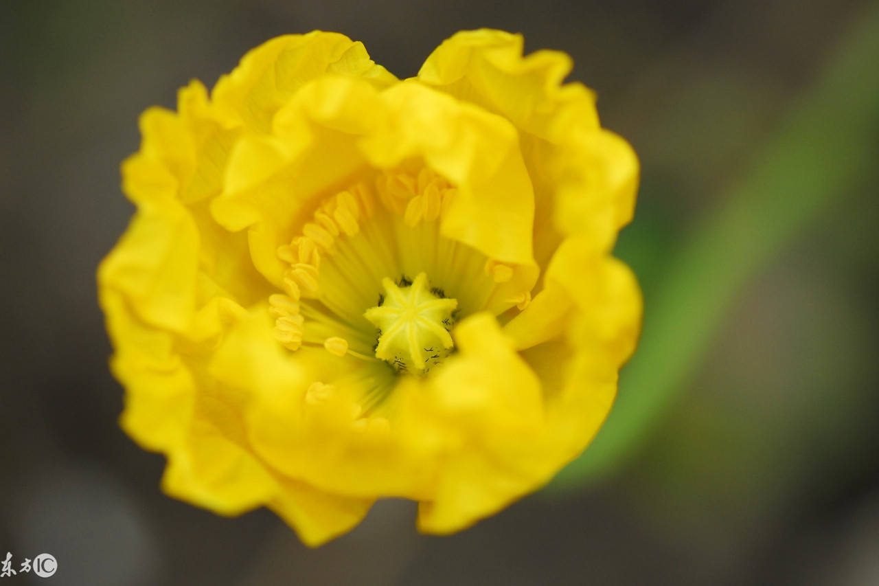 不被在乎的三种人,你应该在乎的三种人