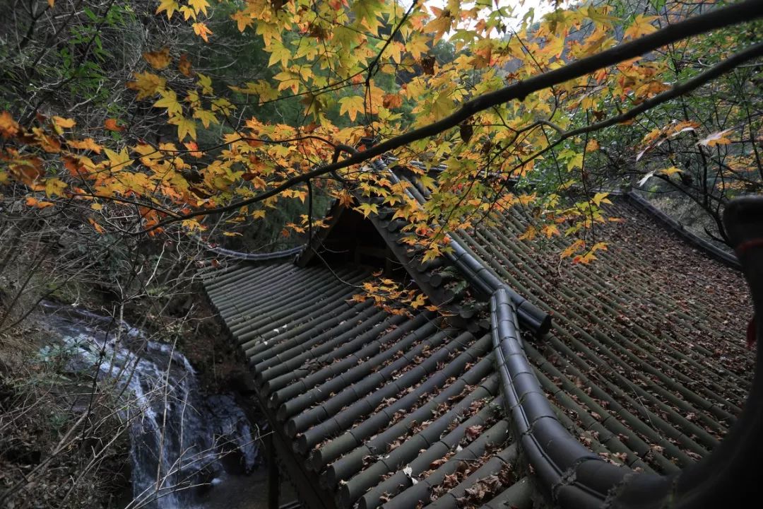 浙江安吉号称第一竹乡吗,安吉联合国最宜居城市