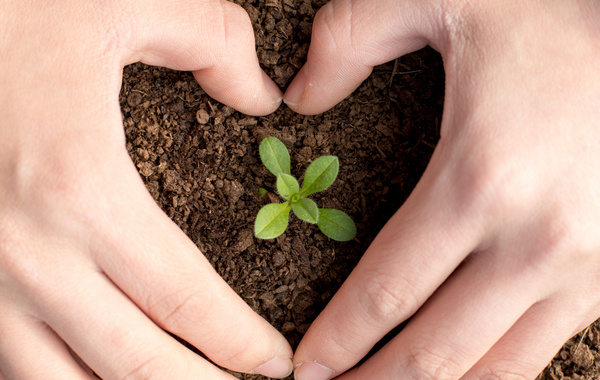 烟灰如何利用,烟灰能拿来干嘛