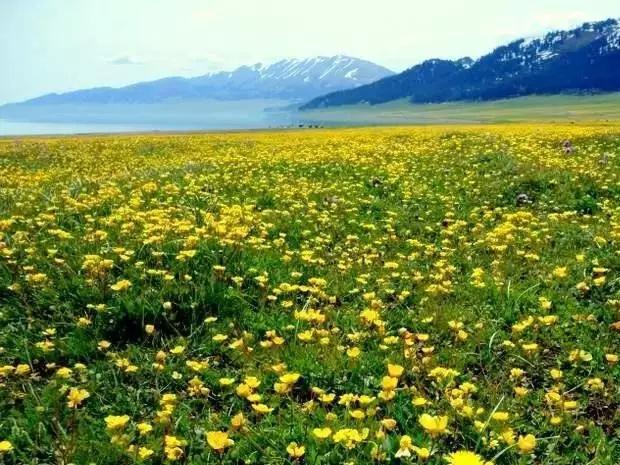 川西小众景点地图,自驾川西甘孜不能错过的小众秘境