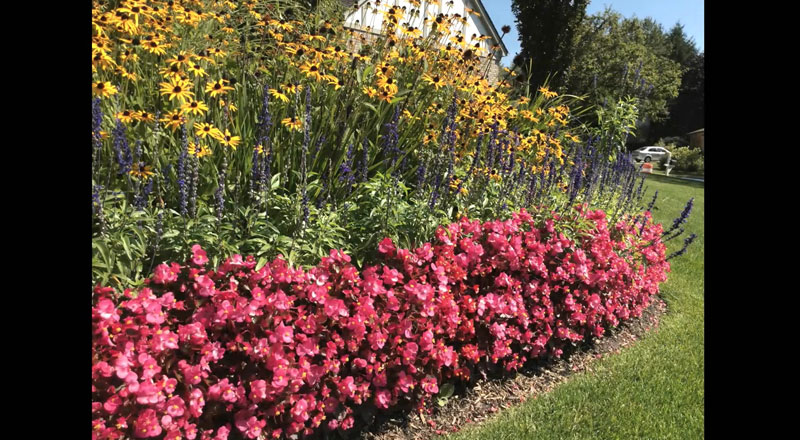 苹果ipadmini4游戏测评,ipad和ipadmini怎么选