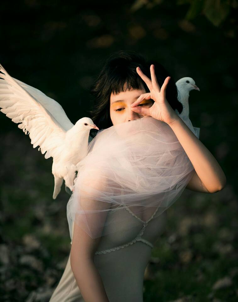 下周,能否完美复仇