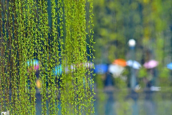 大家一起来歌曲英文原版,优美英文短诗及翻译