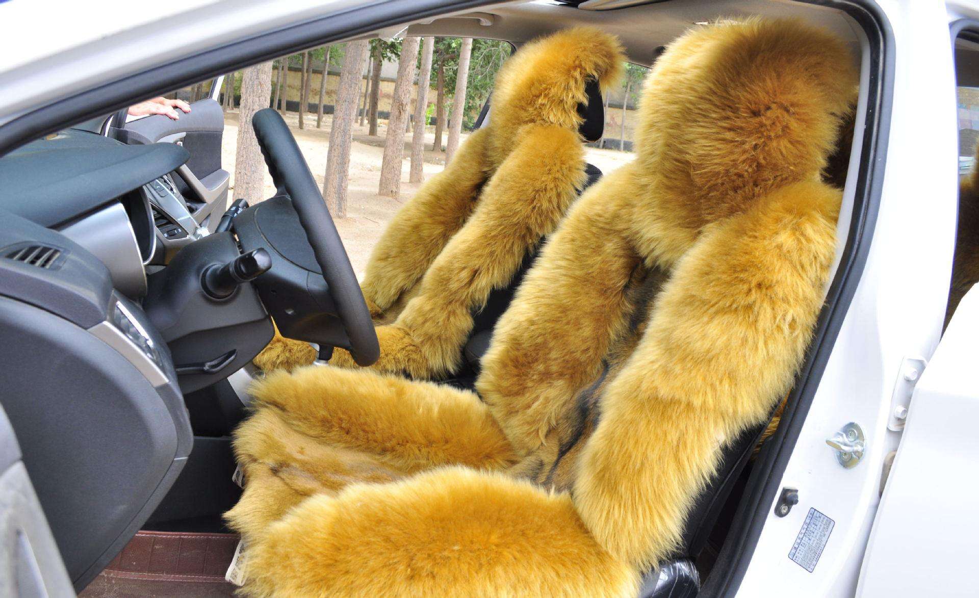 252「长强问答」没想到啊!给爱车选羊毛坐垫也要望闻问切