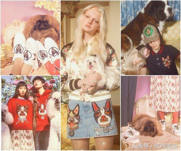 Gucci、LV、小CK狗年汪星人大集合!快把时尚汪们带回家