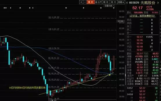 有关黄金分割相关知识,关于黄金分割线的知识