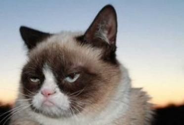 华舆辞典好歌推荐:影响一代人的音乐表情包